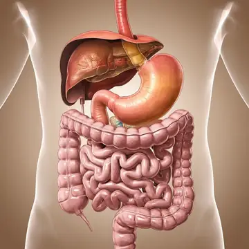 Gastroenterology